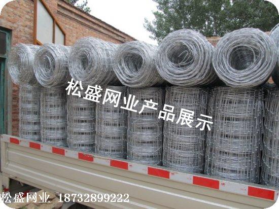 牛栏草原网 (3).jpg