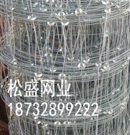 草原网围栏 (89).jpg
