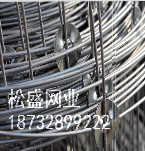 草原网围栏 (123).jpg